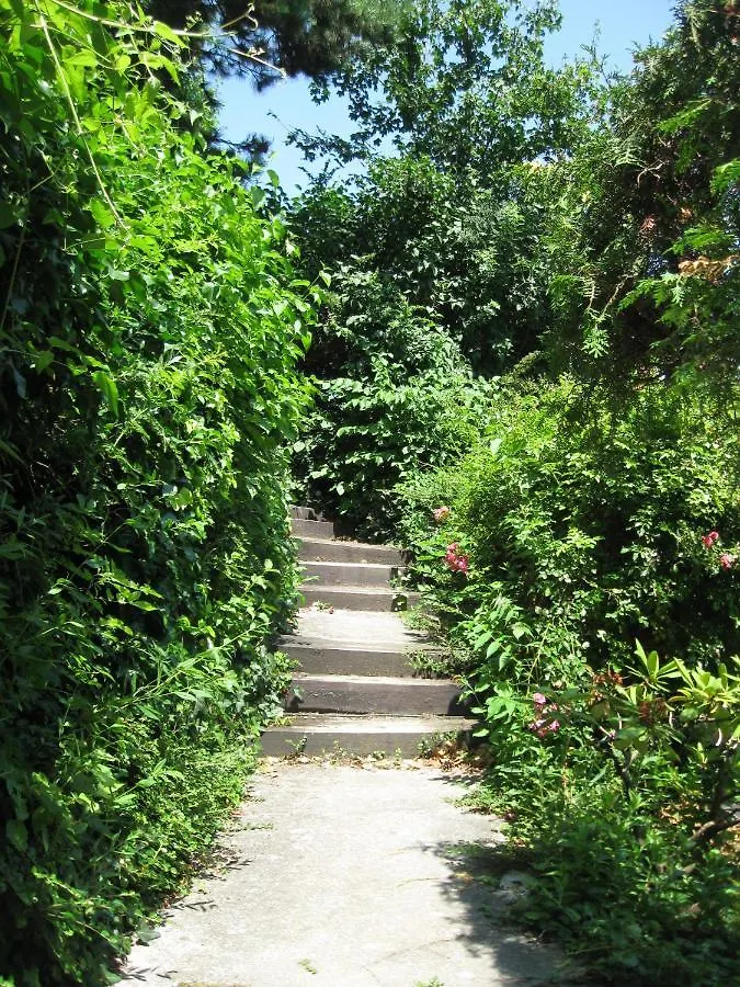Apartmán Danube View House With Garden Vídeň Rakousko